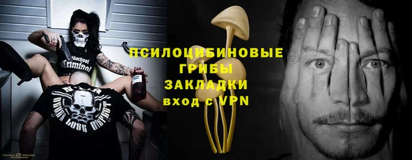 PSILOCYBIN Алзамай