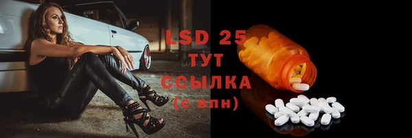PSILOCYBIN Алзамай