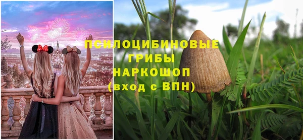 mix Абаза