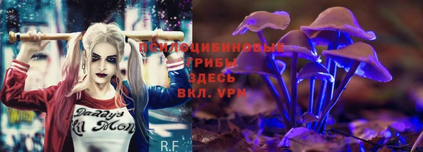 мяу мяу мука Алексин